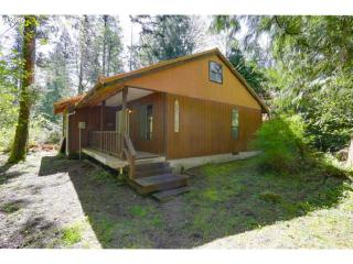 65780 Sandy River Ln, Rhododendron, OR 97049