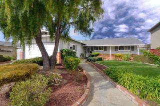 1383 Olympic Dr, Milpitas, CA 95035