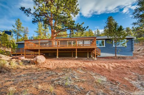 16699 Ouray Rd, Pine, CO 80470