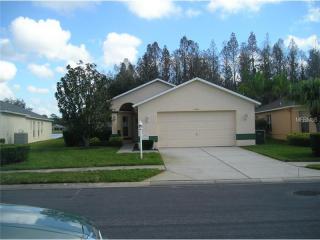 1246 Winding Willow Dr, New Port Richey, FL