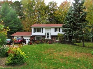 5446 Heisley Rd, Concord Township, OH