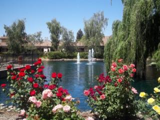 72 Fountain Grove Cir, Fairfield, CA